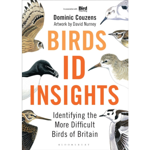 Bloomsbury Publishing PLC Birds: ID Insights (inbunden, eng)