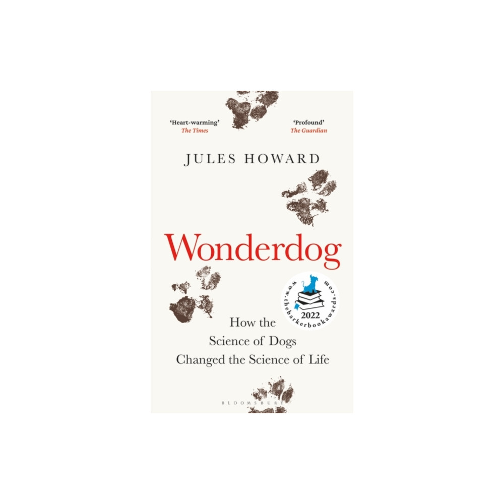 Produktbild för Wonderdog (häftad, eng)