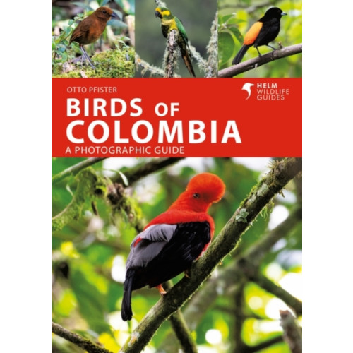 Bloomsbury Publishing PLC Birds of Colombia (häftad, eng)