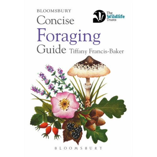 Bloomsbury Publishing PLC Concise Foraging Guide (häftad, eng)