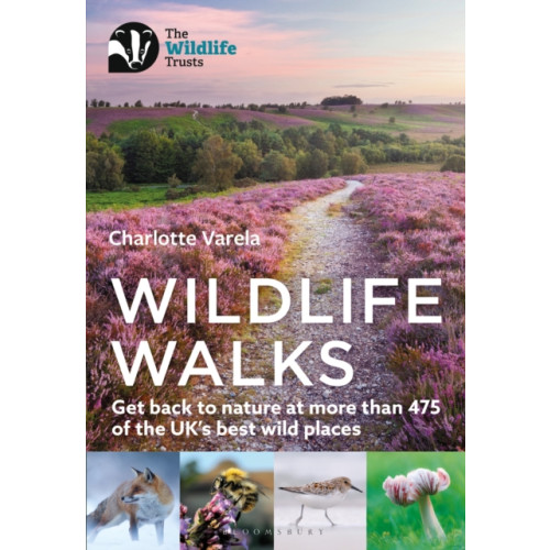 Bloomsbury Publishing PLC Wildlife Walks (häftad, eng)