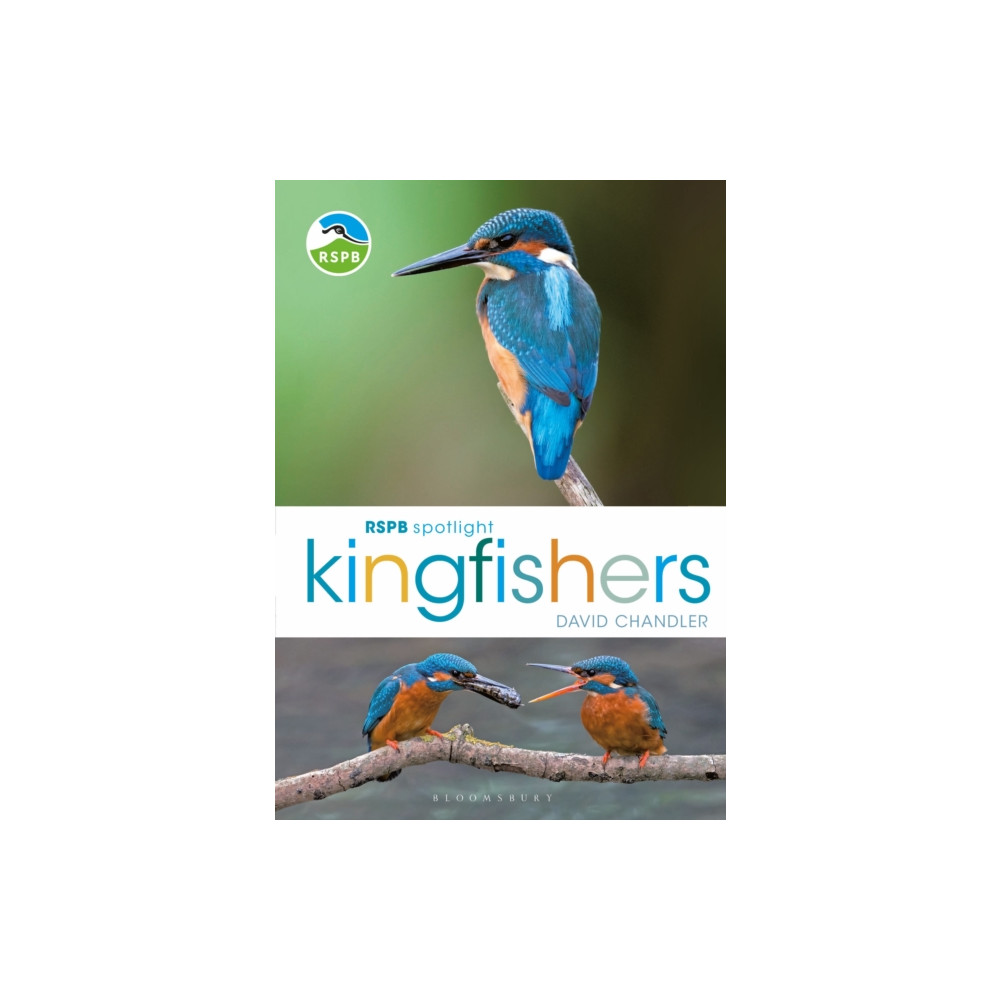 Produktbild för RSPB Spotlight Kingfishers (häftad, eng)