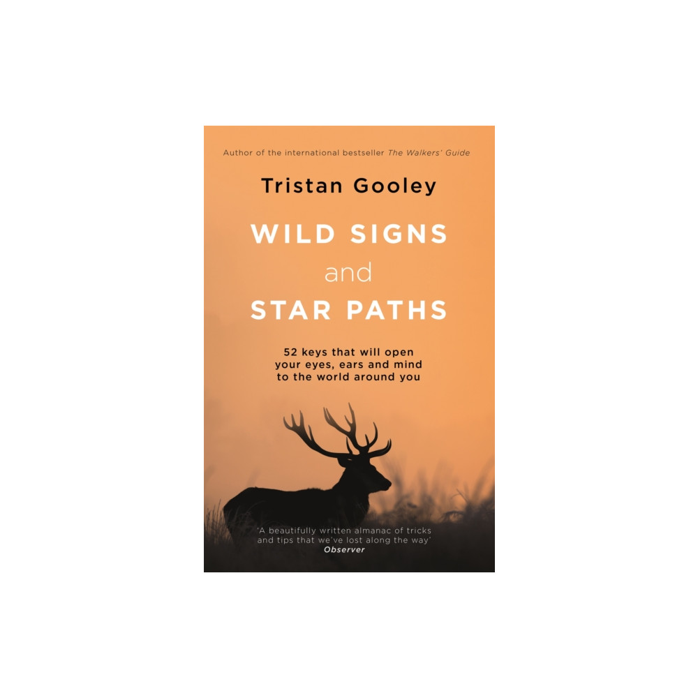 Produktbild för Wild Signs and Star Paths (häftad, eng)