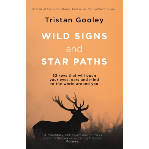 Hodder & Stoughton Wild Signs and Star Paths (häftad, eng)