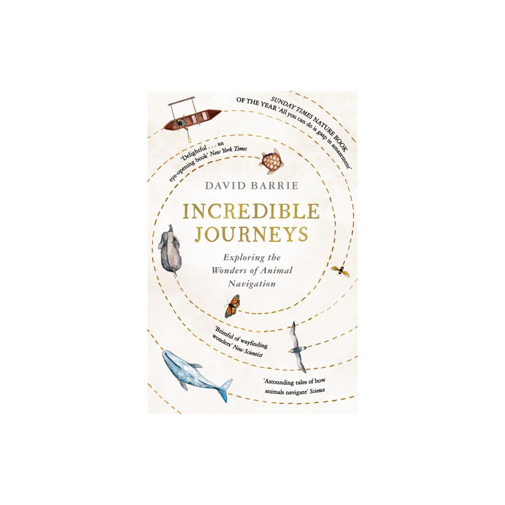 Produktbild för Incredible Journeys (häftad, eng)