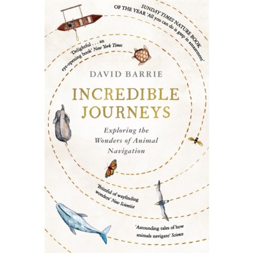 Hodder & Stoughton Incredible Journeys (häftad, eng)
