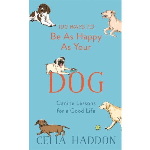 Hodder & Stoughton 100 Ways to Be As Happy As Your Dog (inbunden, eng)