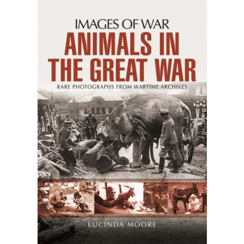 Pen & Sword Books Ltd Animals in the Great War (häftad, eng)