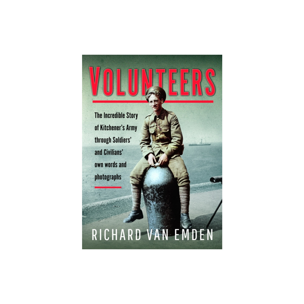 Produktbild för Volunteers (inbunden, eng)