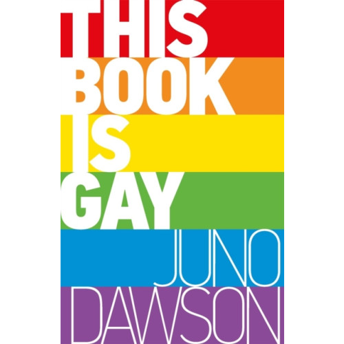 Hot Key Books This Book is Gay (häftad, eng)