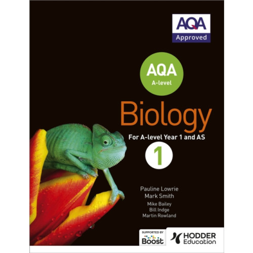 Hodder Education AQA A Level Biology Student Book 1 (häftad, eng)