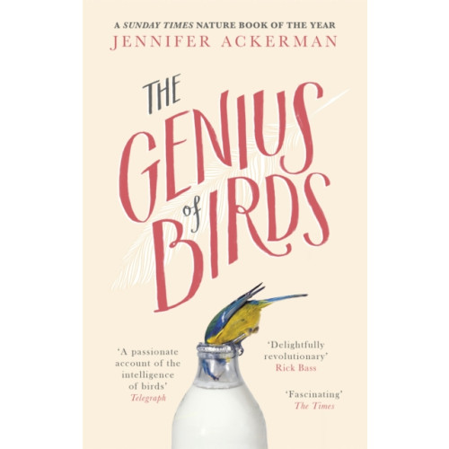 Little, Brown Book Group The Genius of Birds (häftad, eng)
