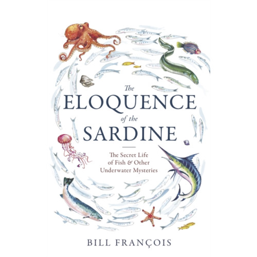 Little, Brown Book Group The Eloquence of the Sardine (häftad, eng)