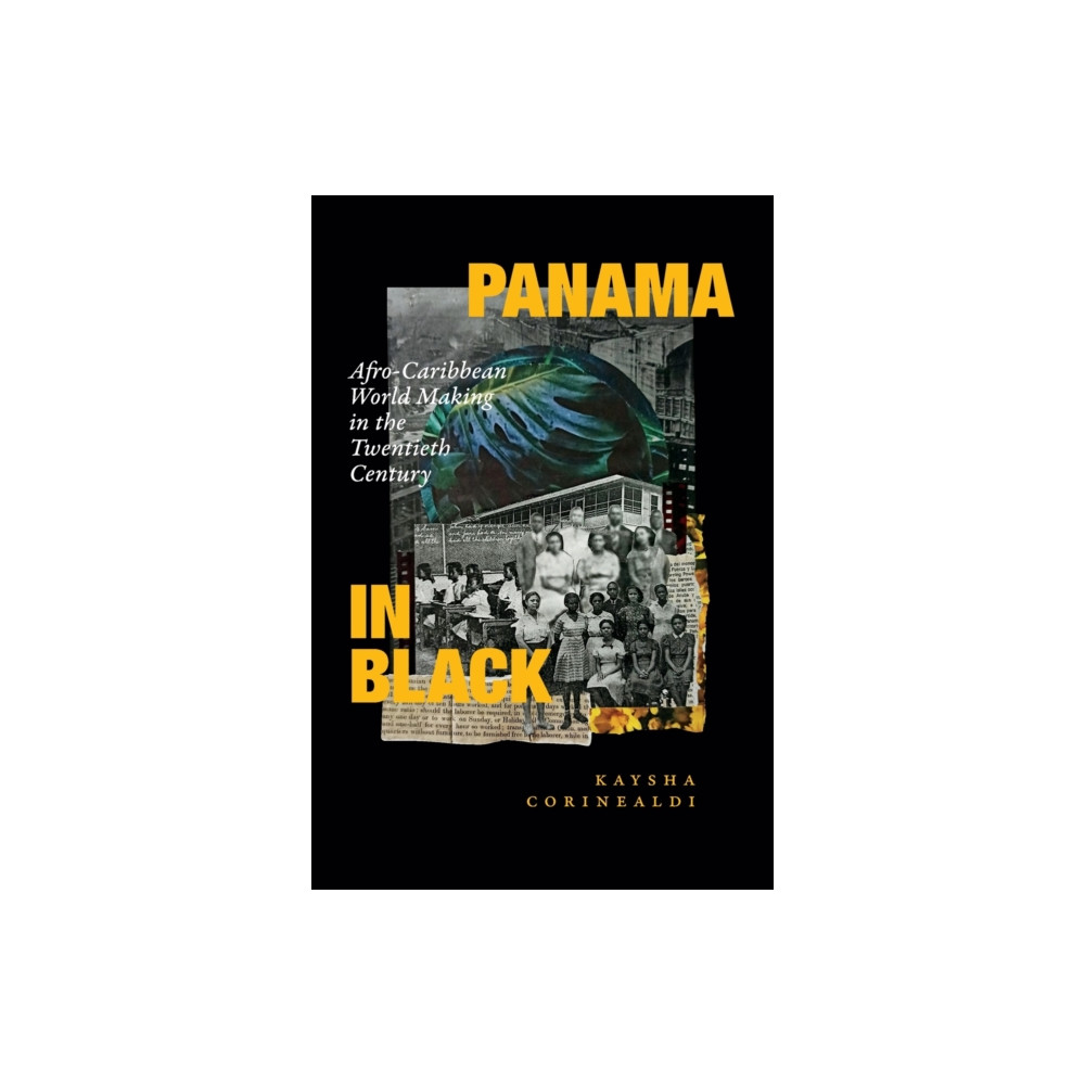 Produktbild för Panama in Black (häftad, eng)