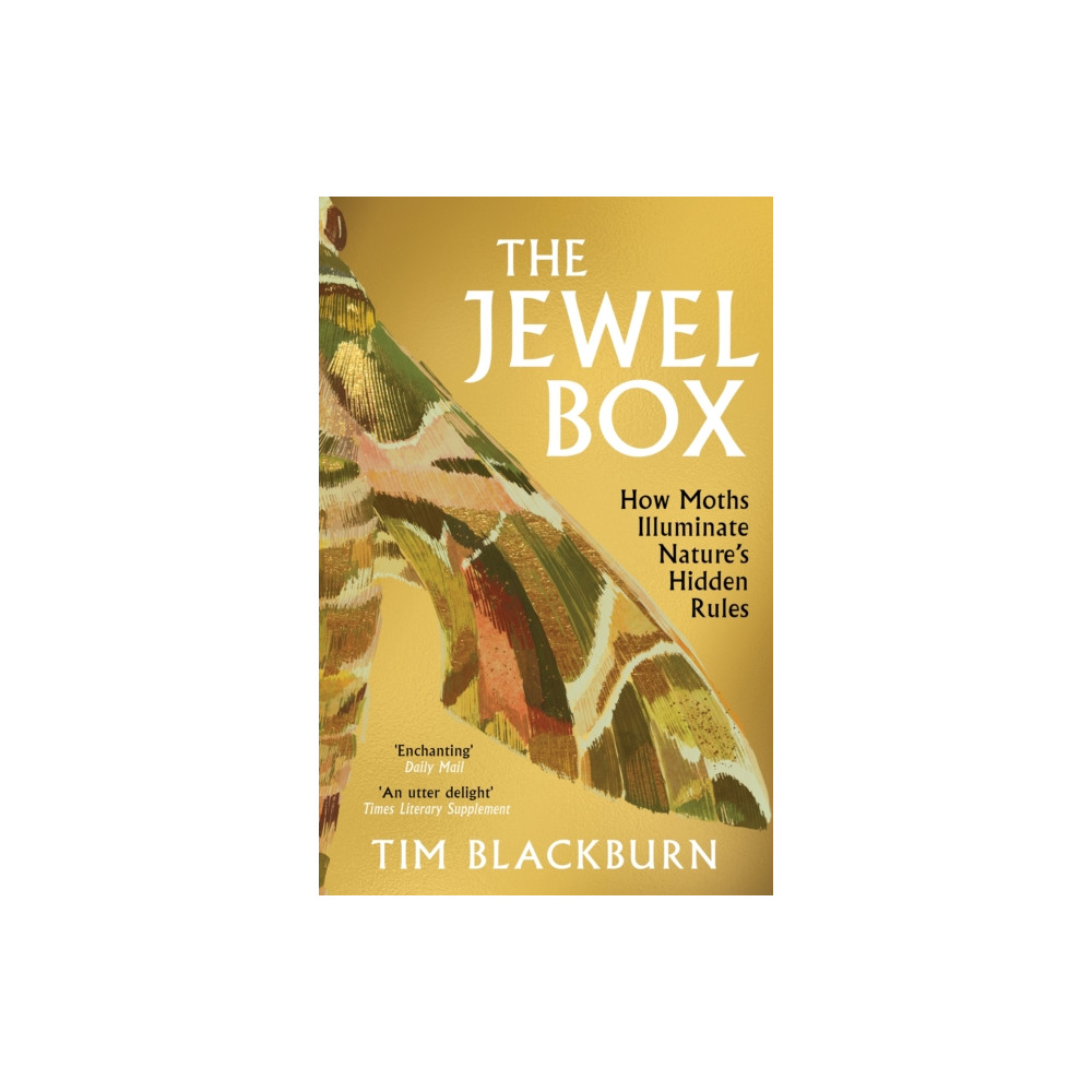 Produktbild för The Jewel Box (häftad, eng)