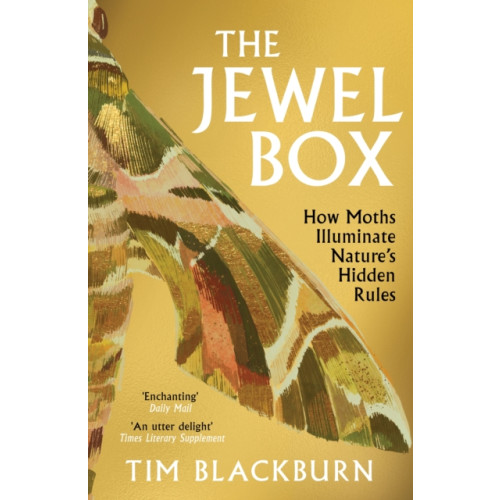 Orion Publishing Co The Jewel Box (häftad, eng)