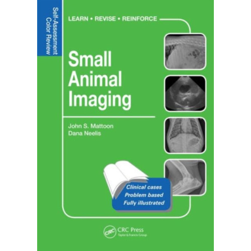 Taylor & francis inc Small Animal Imaging (häftad, eng)