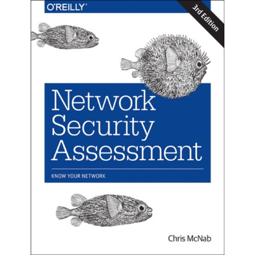 O'Reilly Media Network Security Assessment 3e (häftad, eng)