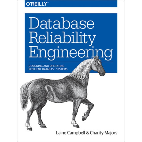 O'Reilly Media Database Reliability Engineering (häftad, eng)