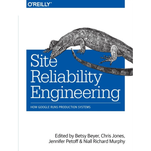 O'Reilly Media Site Reliability Engineering (häftad, eng)