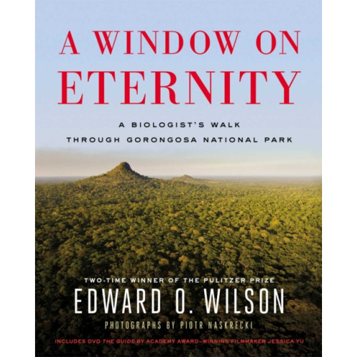 Simon & Schuster A Window on Eternity (inbunden, eng)