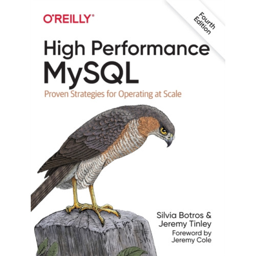 O'Reilly Media High Performance MySQL (häftad, eng)
