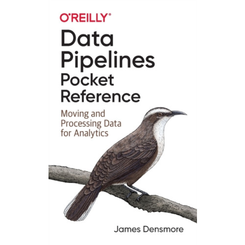 O'Reilly Media Data Pipelines Pocket Reference (häftad, eng)