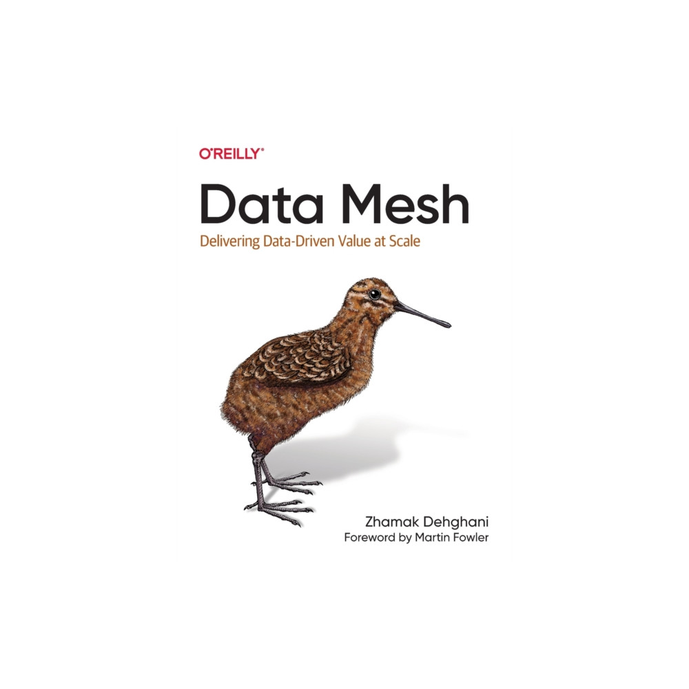 Produktbild för Data Mesh (häftad, eng)