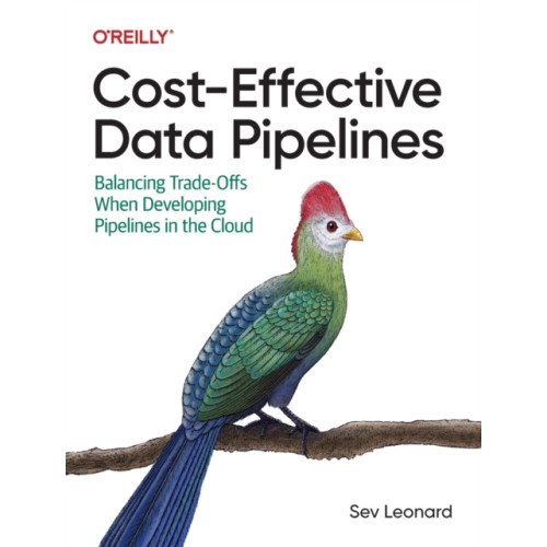 O'Reilly Media Cost-Effective Data Pipelines (häftad, eng)