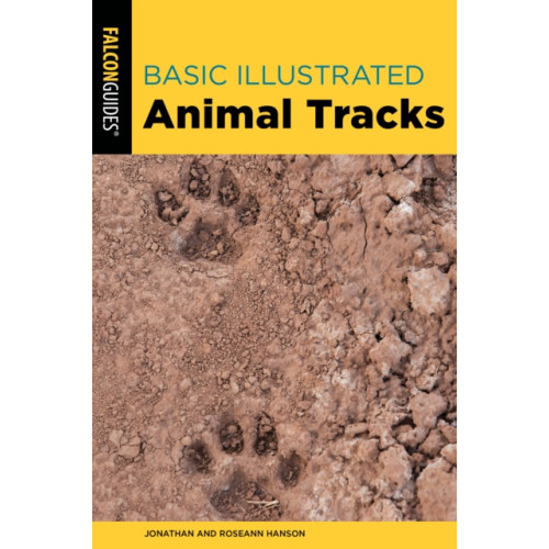 Rowman & littlefield Basic Illustrated Animal Tracks (häftad, eng)