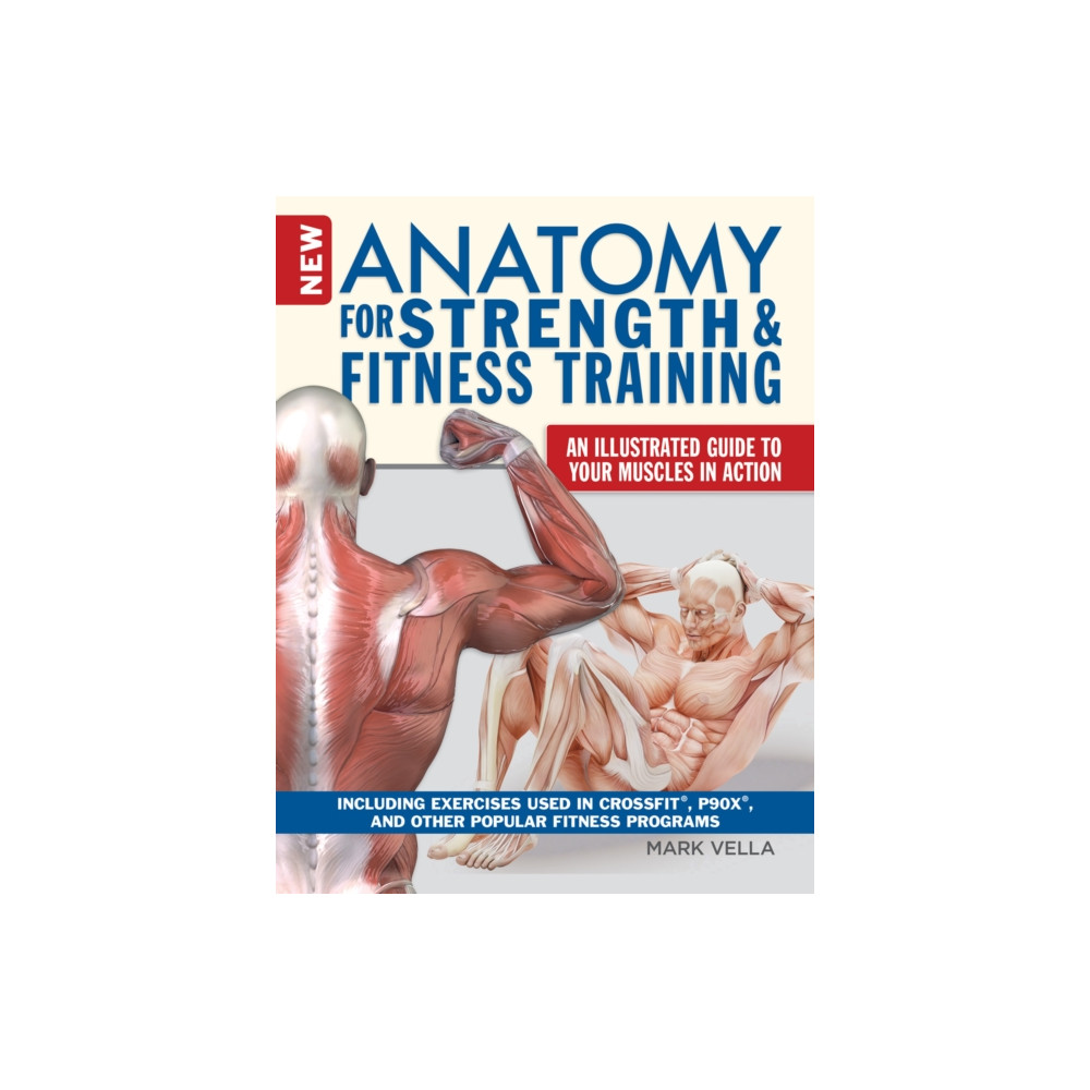 Produktbild för Anatomy for Strength and Fitness Training (häftad, eng)