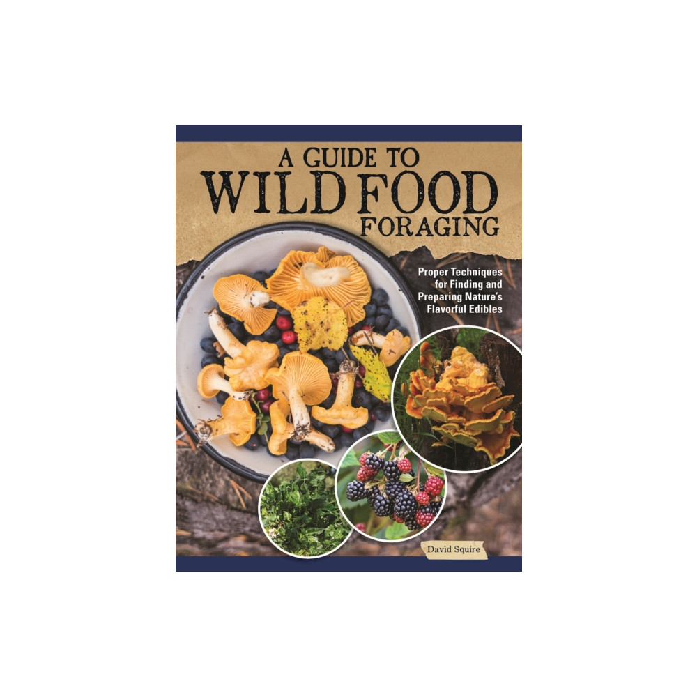 Produktbild för A Guide to Wild Food Foraging (häftad, eng)