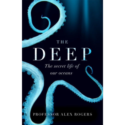 Headline Publishing Group The Deep (häftad, eng)