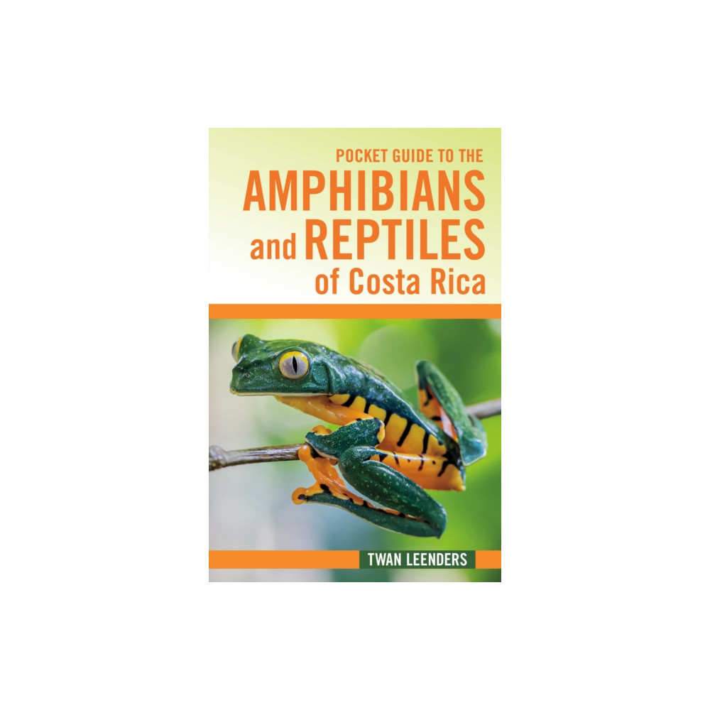 Produktbild för Pocket Guide to the Amphibians and Reptiles of Costa Rica (häftad, eng)