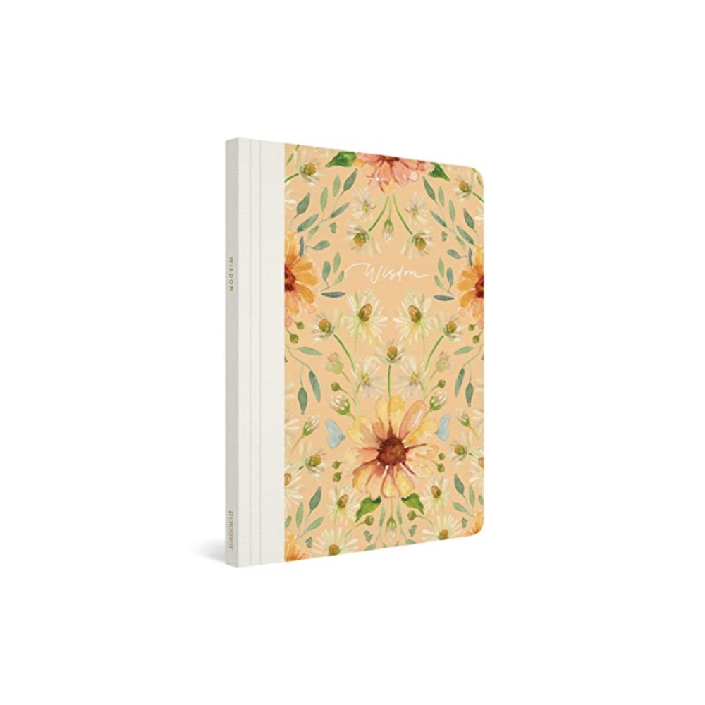 Produktbild för ESV Prayer Journal (häftad, eng)