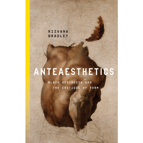 Stanford university press Anteaesthetics (häftad, eng)