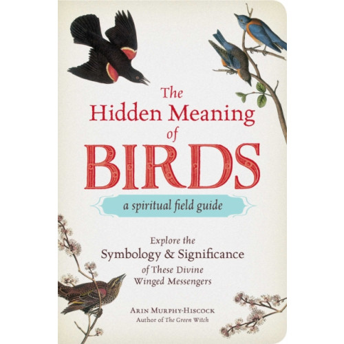 Adams Media Corporation The Hidden Meaning of Birds--A Spiritual Field Guide (häftad)