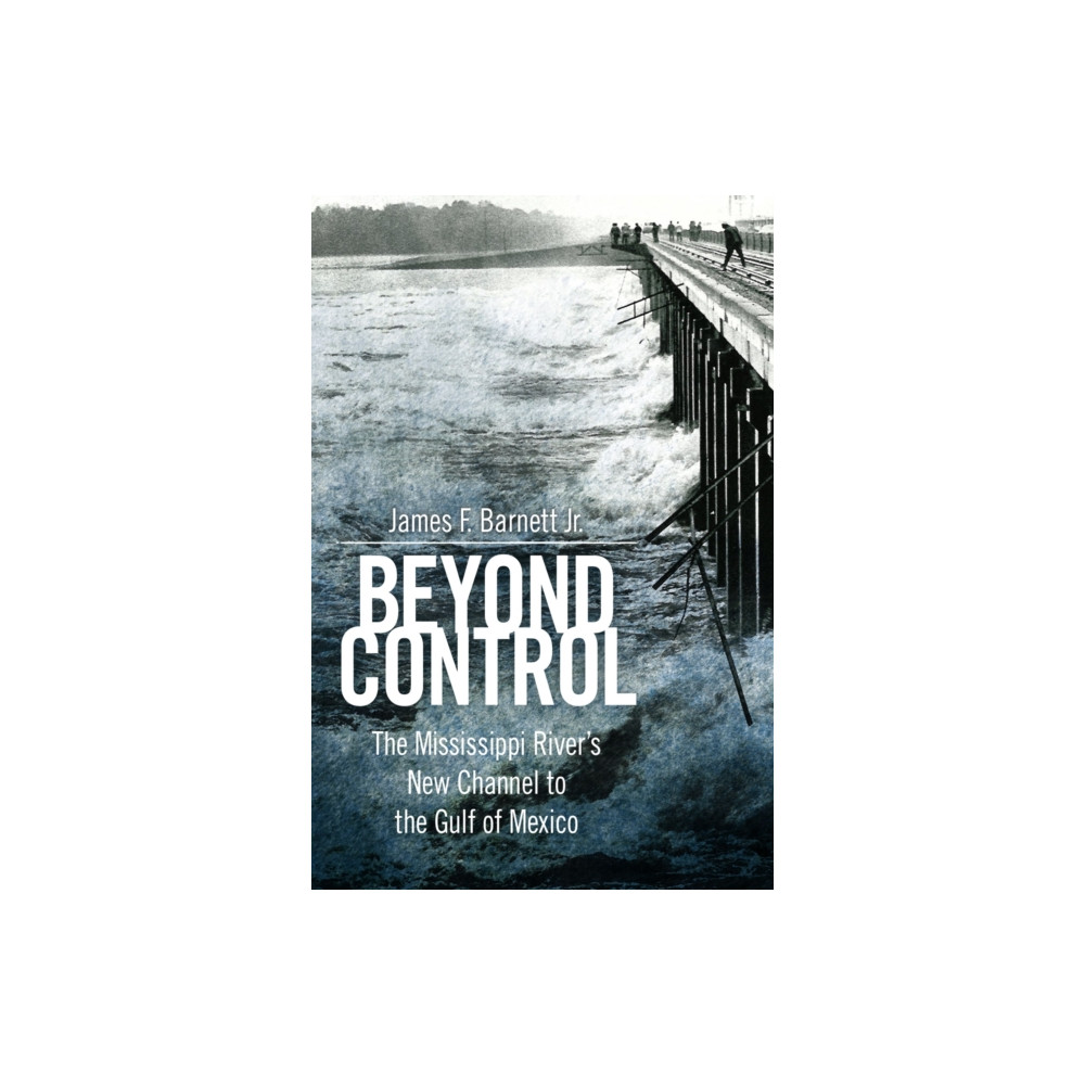 Produktbild för Beyond Control (häftad, eng)