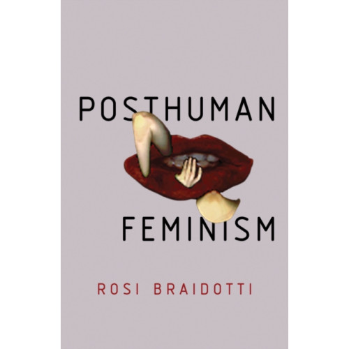 John Wiley And Sons Ltd Posthuman Feminism (häftad, eng)