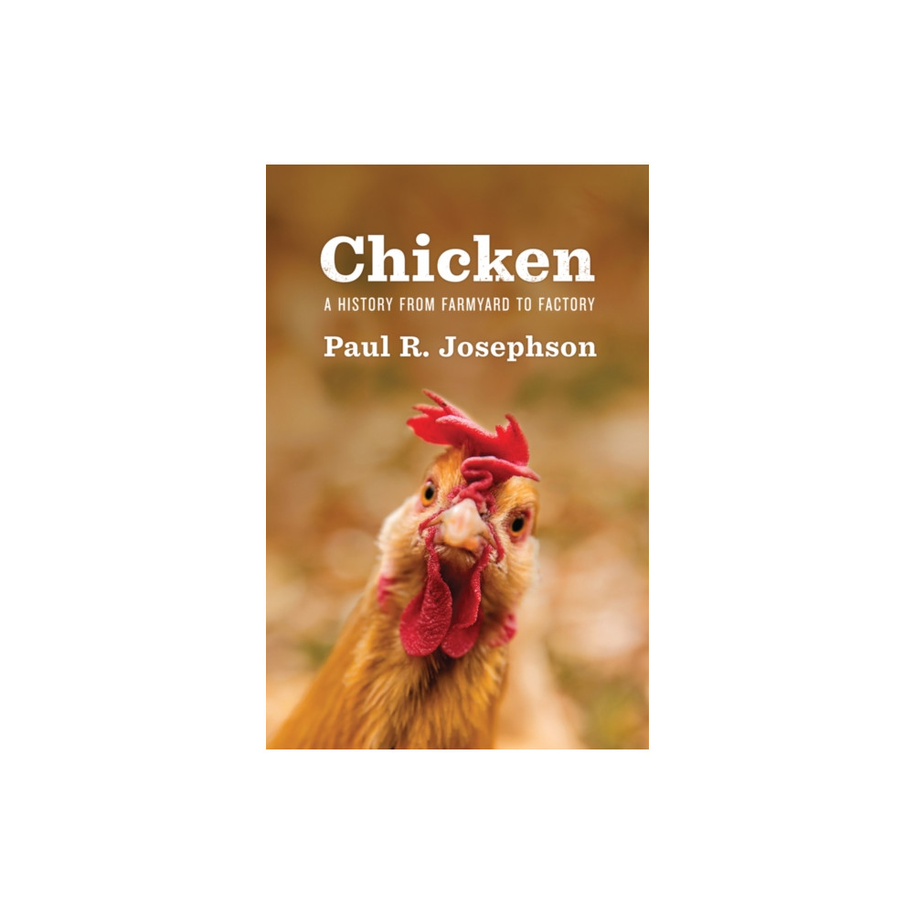 Produktbild för Chicken (inbunden, eng)