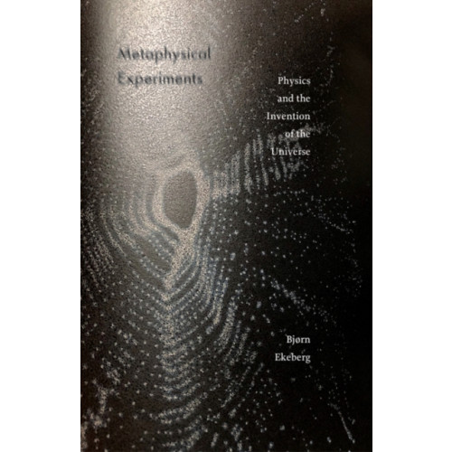 University of Minnesota Press Metaphysical Experiments (häftad, eng)