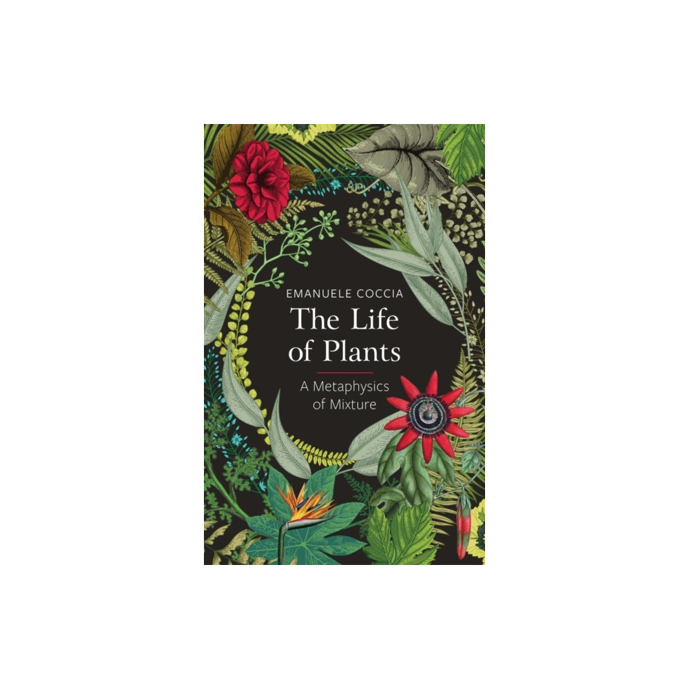 Produktbild för The Life of Plants (häftad, eng)