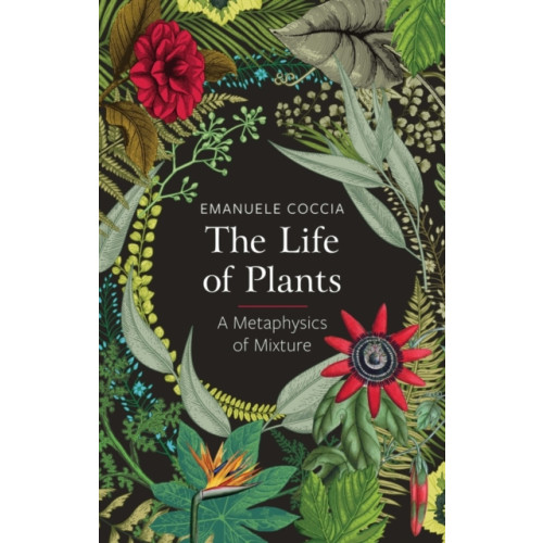 John Wiley And Sons Ltd The Life of Plants (häftad, eng)