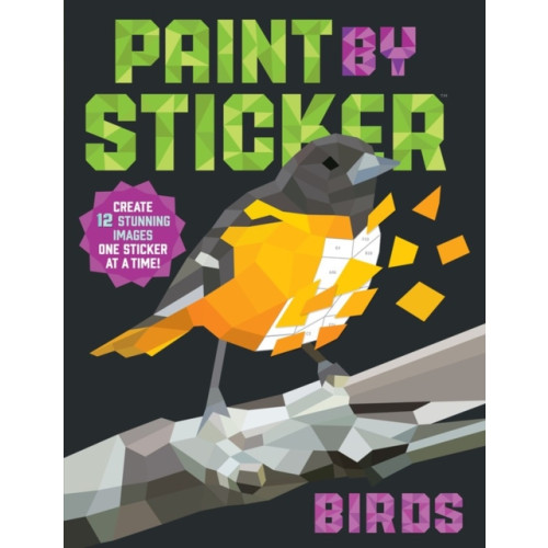 Workman Publishing Paint by Sticker: Birds (häftad, eng)