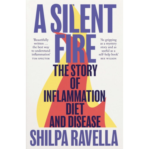 Vintage Publishing A Silent Fire (häftad, eng)