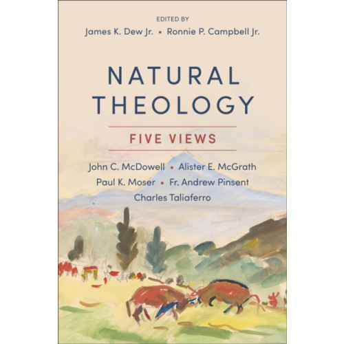 Baker publishing group Natural Theology (häftad, eng)
