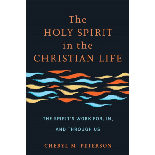 Baker publishing group The Holy Spirit in the Christian Life (häftad, eng)