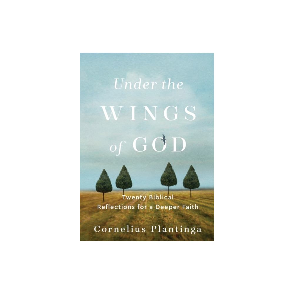 Produktbild för Under the Wings of God – Twenty Biblical Reflections for a Deeper Faith (häftad, eng)