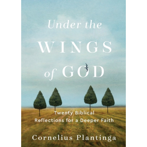 Baker publishing group Under the Wings of God – Twenty Biblical Reflections for a Deeper Faith (häftad, eng)