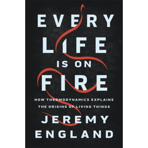 Basic Books Every Life Is On Fire (inbunden, eng)